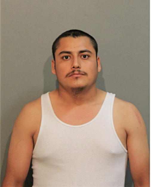 JOSE L MOYAO-MEJIA, Cook County, Illinois