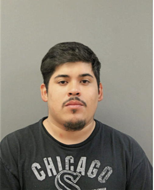 RIGOBERTO ROMAN, Cook County, Illinois