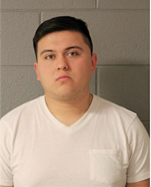 MIGUEL A GONZALEZ, Cook County, Illinois