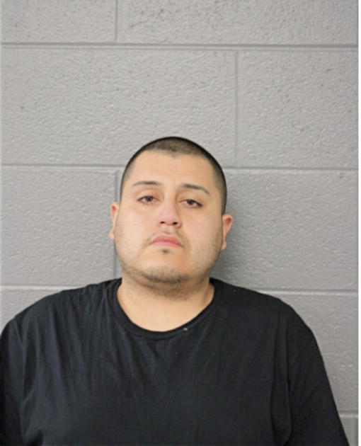 JOSE D ESTRELLA, Cook County, Illinois