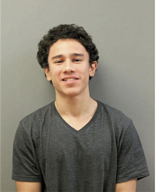 JOVANI J VASQUEZ, Cook County, Illinois