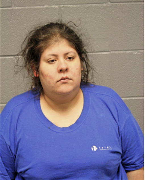 ERICA A TORRES, Cook County, Illinois