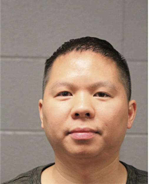MICHAEL N TRUONG, Cook County, Illinois