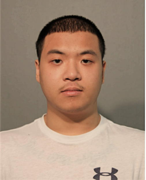 SON T NGUYEN, Cook County, Illinois