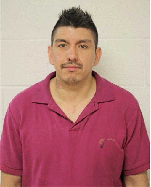 JOSE L ROMERO-FERNANDEZ, Cook County, Illinois