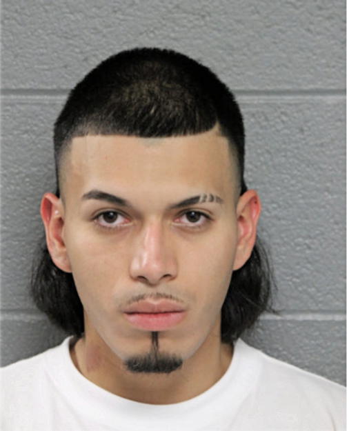 ROBERTO NAVARRO-REYES, Cook County, Illinois