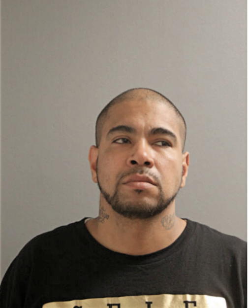 HECTOR R DELGADO, Cook County, Illinois