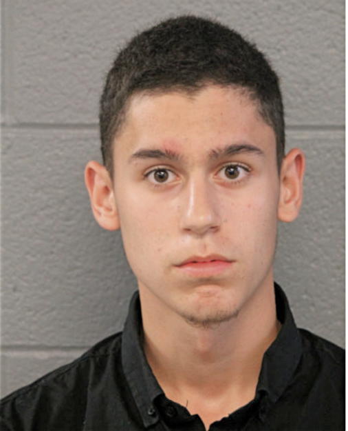 JULIAN M GONAZLEZ, Cook County, Illinois