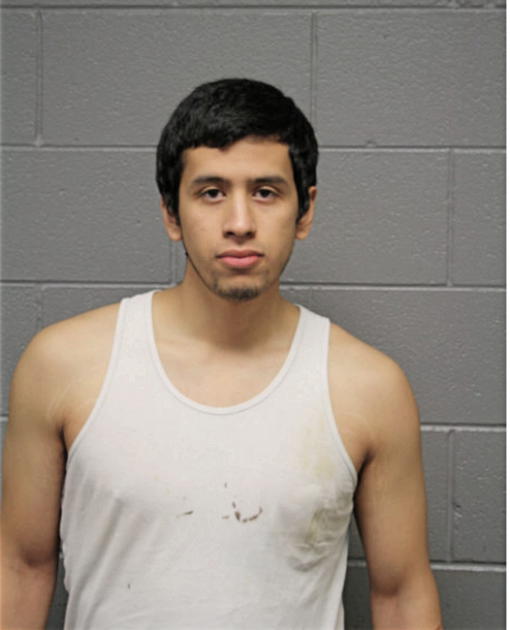 LUIS PONCE, Cook County, Illinois