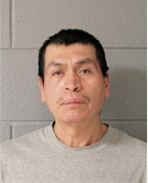 SALVADOR ESTRADA-GARCIA, Cook County, Illinois