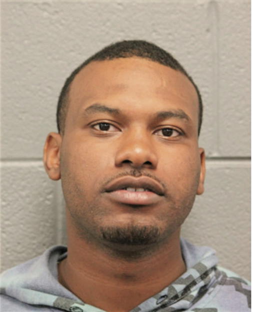 LAVONTA T GEORGE, Cook County, Illinois