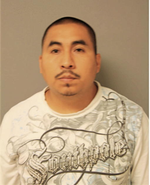 SEBASTIAN PINEDA-JAIMES, Cook County, Illinois