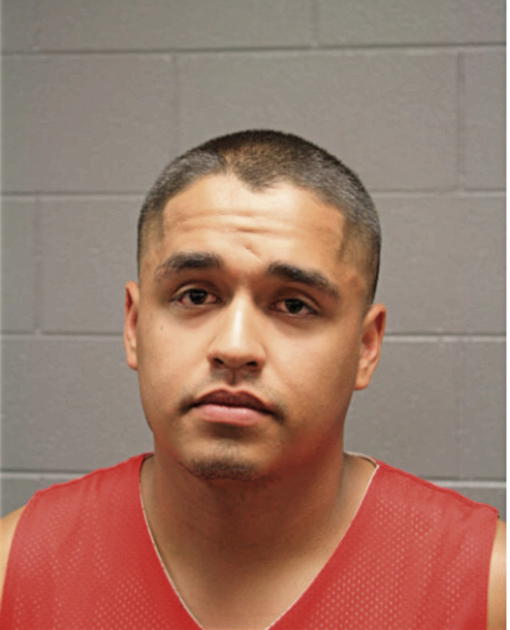 MICHAEL T CINTRON, Cook County, Illinois