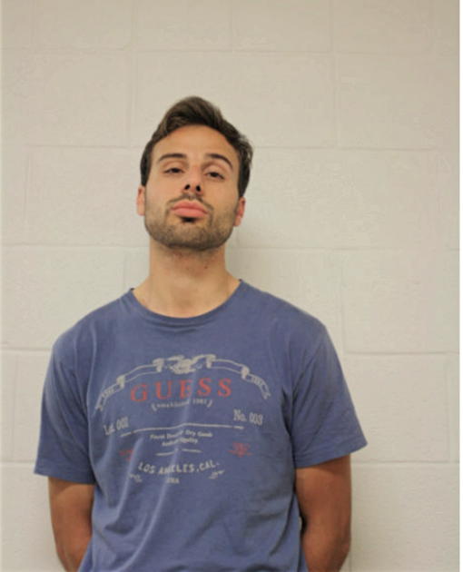 SEAN P PALM, Cook County, Illinois