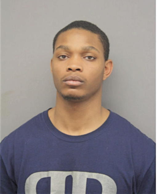 TERRANCE L NELSON, Cook County, Illinois
