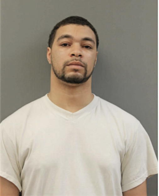 BRANDON L SMITH, Cook County, Illinois