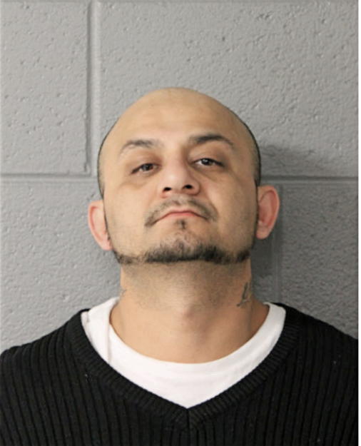 OSCAR A HERNANDEZ, Cook County, Illinois