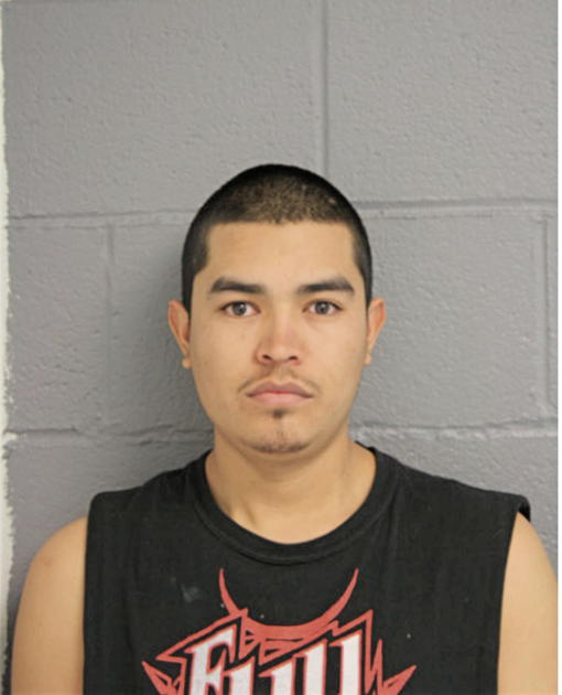 JOSE O OLMOS-ROMERO, Cook County, Illinois