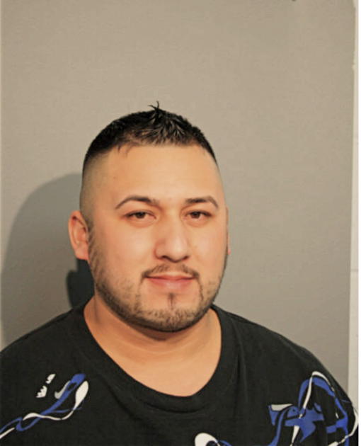 LUIS M TORRES, Cook County, Illinois