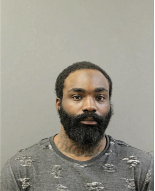 CHEVELL LAMONT TURNER, Cook County, Illinois