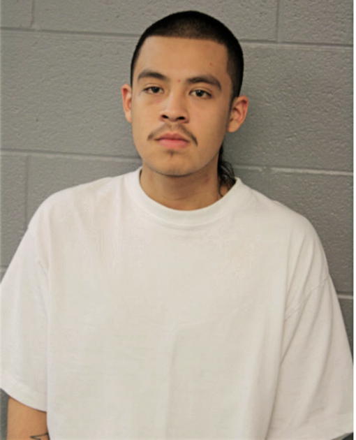 LUIS SALGADO-CAMARGO, Cook County, Illinois