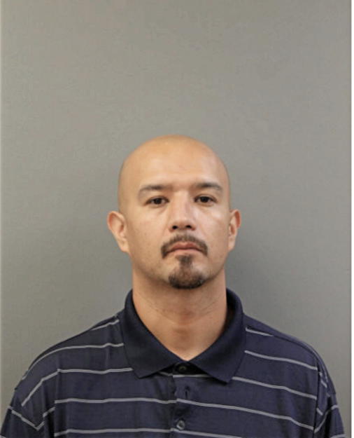 EDGAR G SANCHEZ, Cook County, Illinois