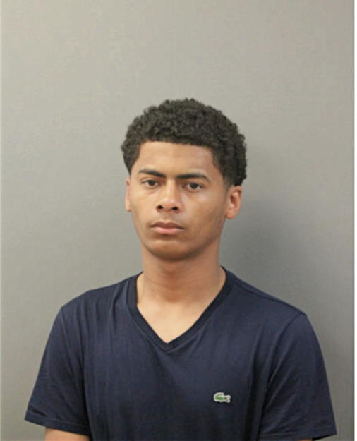 JARELL L COLLINS, Cook County, Illinois