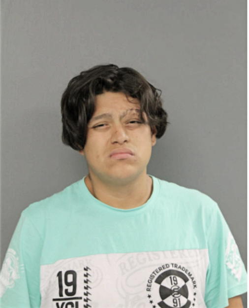 ISMAEL GONZALEZ-DIAZ, Cook County, Illinois