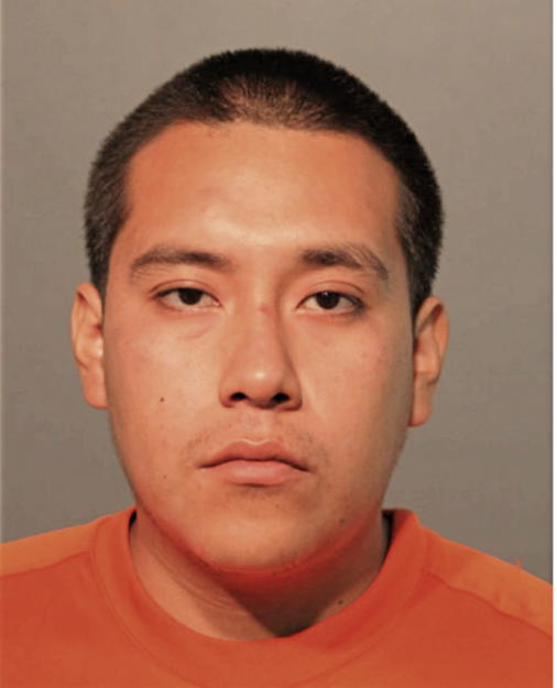 LUIS A LUCIDO-HERNANDEZ, Cook County, Illinois