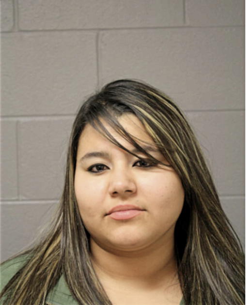 RITA M SANDOVAL, Cook County, Illinois