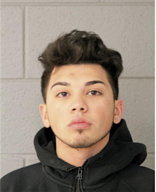 JAVIER C CASILLAS, Cook County, Illinois