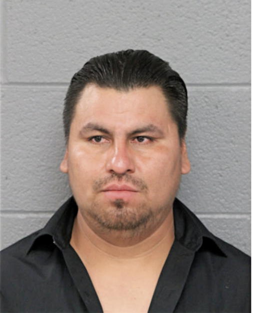 ERNESTO SOLANO, Cook County, Illinois