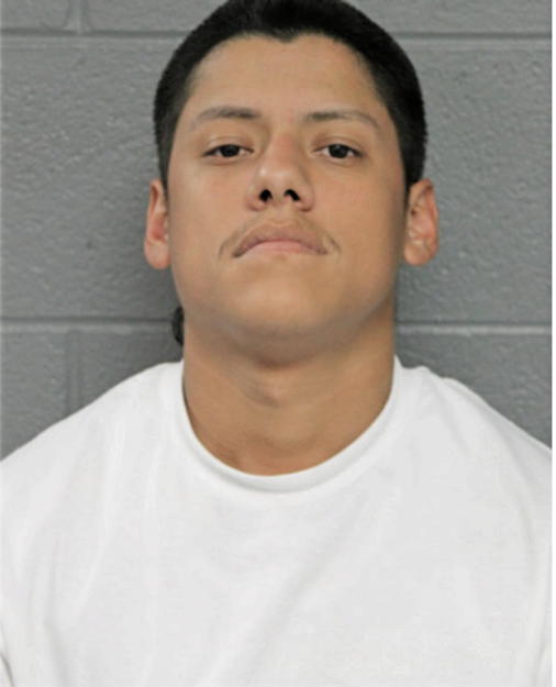 MARTIN TORRES, Cook County, Illinois