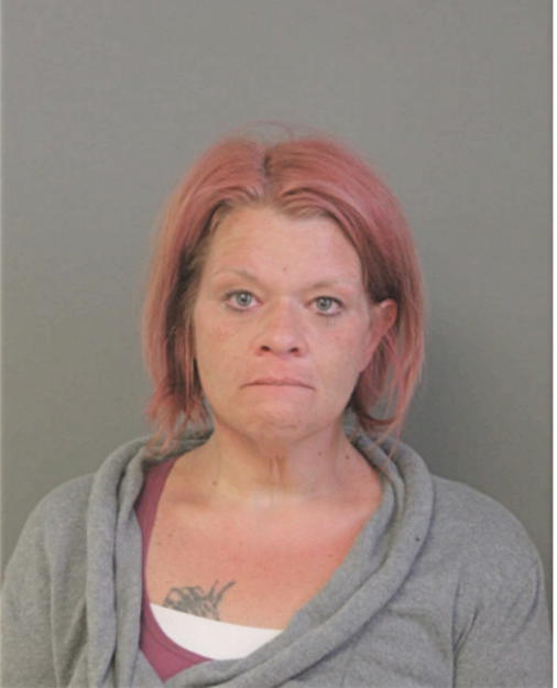 MISTI NICOLE DAVIS, Cook County, Illinois