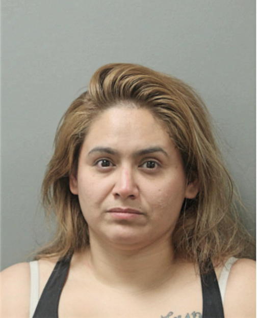 ERIKA A DELEON, Cook County, Illinois