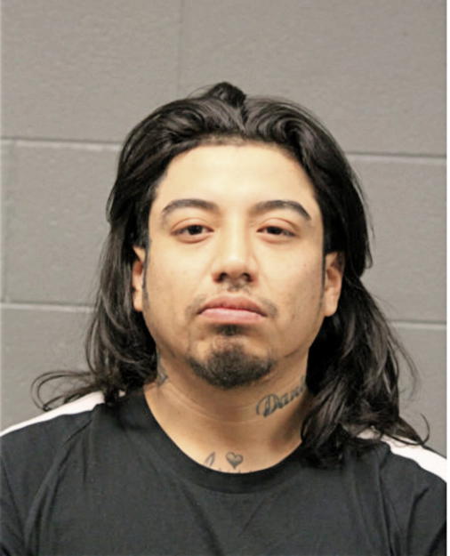 BRIAN S ENRIQUEZ, Cook County, Illinois