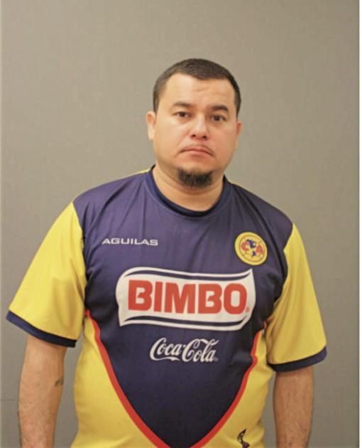 MIGUEL ANGEL MALDONADO, Cook County, Illinois