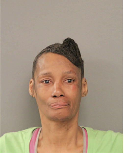 TAMARA L JOHNSON, Cook County, Illinois