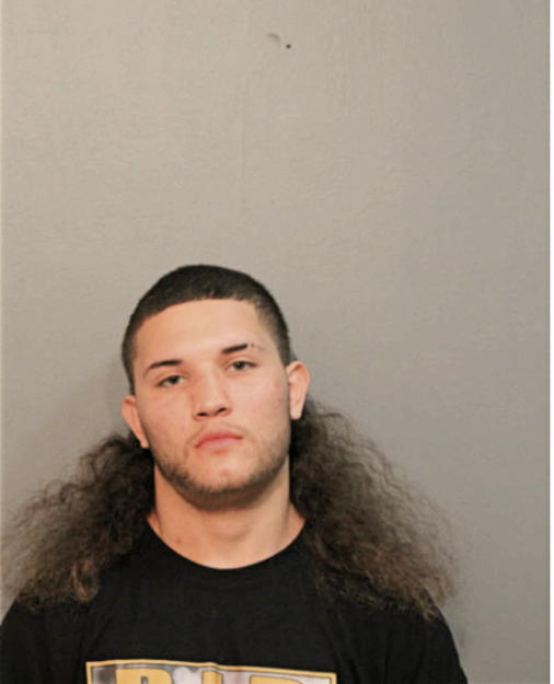 DANIEL J FLORES, Cook County, Illinois