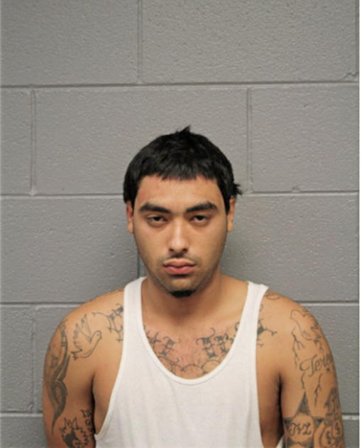 RAFAEL VILLALOBOS JR, Cook County, Illinois