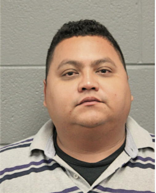 DAVID R RODRIGUEZ, Cook County, Illinois