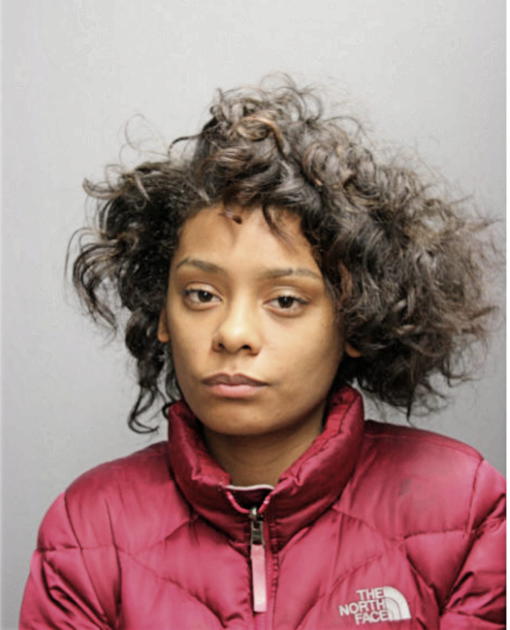 BRITTANY C JENKINS, Cook County, Illinois
