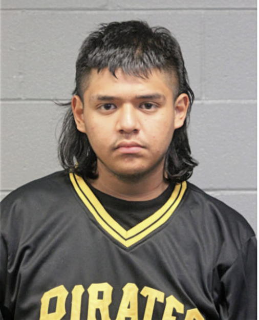 ISRAEL FLORES, Cook County, Illinois