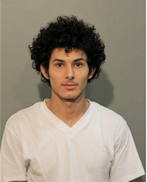 WADIE ALI OMER MOHAMED, Cook County, Illinois