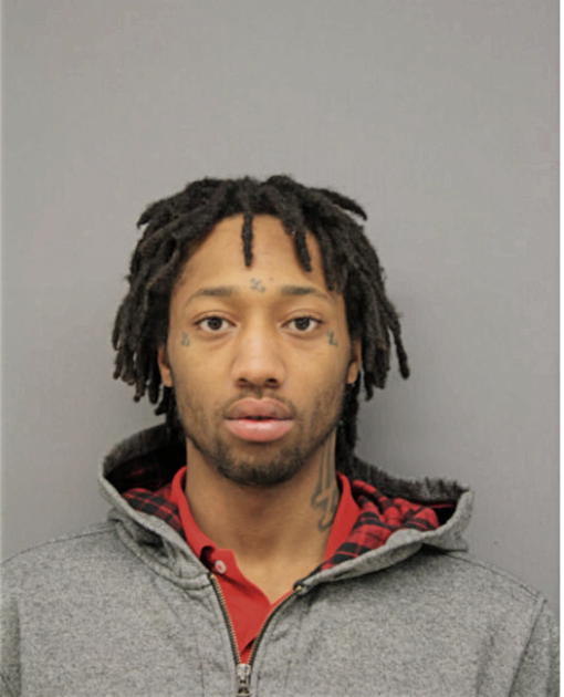 DEVIN J WARNICK, Cook County, Illinois