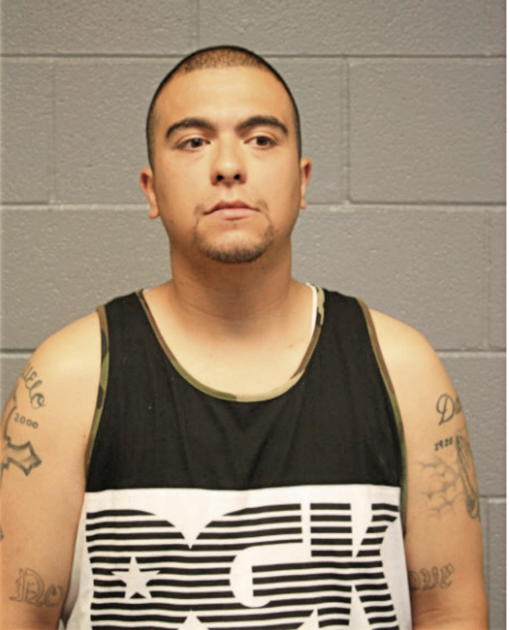 ROBERT D GONZALEZ, Cook County, Illinois