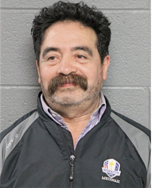 ROBERTO L MARTINEZ, Cook County, Illinois