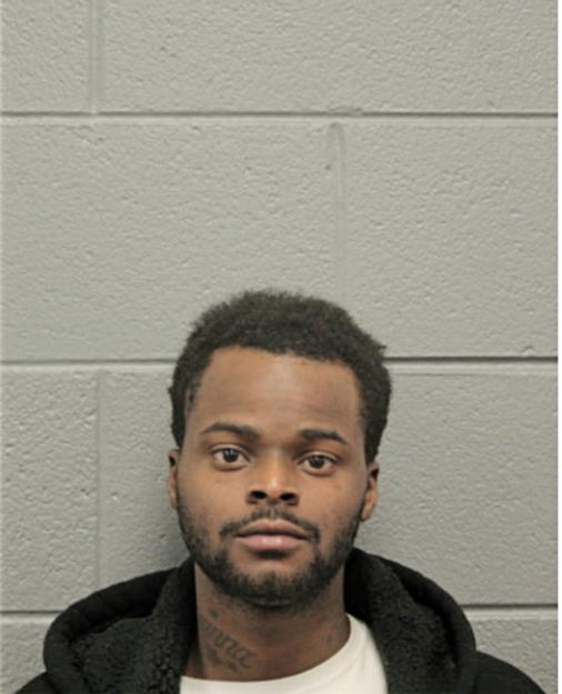 DESHAWN L KING, Cook County, Illinois