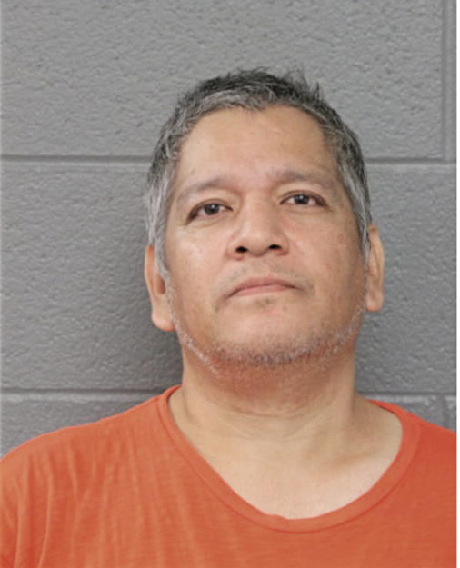 MARIO A GONZALEZ, Cook County, Illinois