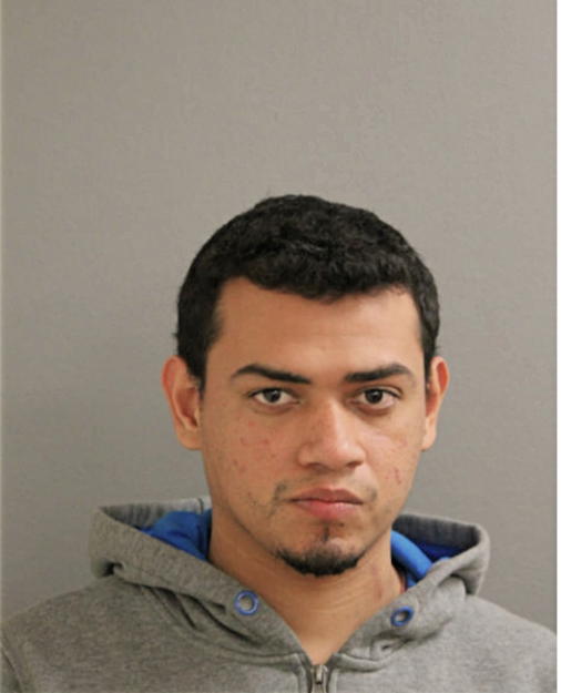 JOSE M MALDONADO, Cook County, Illinois